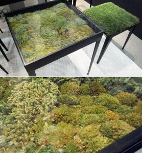 Diseño natural