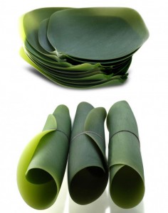 Diseño natural